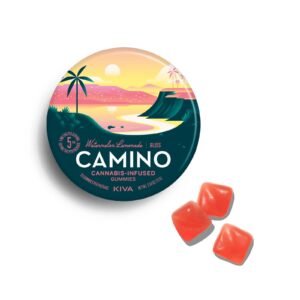 Watermelon Lemonade “Bliss” Gummies | Camino