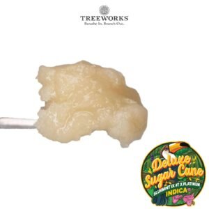 Deluxe Sugar Cane (1.0g Live Rosin Jam) | Treeworks